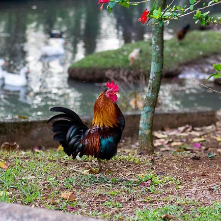 Polo Hotel Fazenda インダイアトゥーバ エクステリア 写真